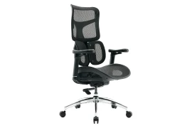 Ergonomic office desk chair - 4D ADJUSTMENT - Spacetronik SPRINGLE 22