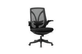 Ergonomic Office Chair Spacetronik ARIAN-20