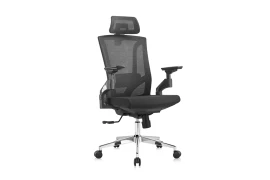 Ergonomic office armchair Spacetronik GERD