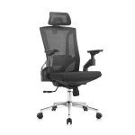 Ergonomic office armchair Spacetronik GERD