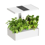 Smart flowerpot 10l SMART Garden white and gray with LCD screen for your favorite plants all year round Spacetronik SPGC20