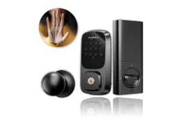 Smart door lock ARPHA SP300 + H200 with vein scanner WiFi